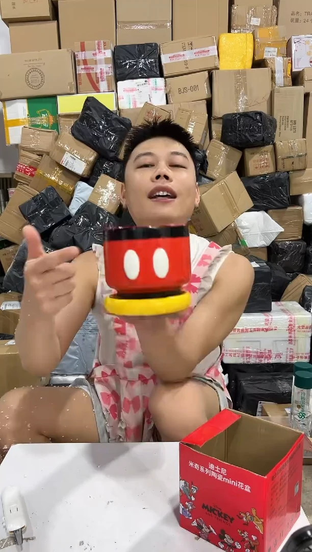 瓷片原盒米奇花盆