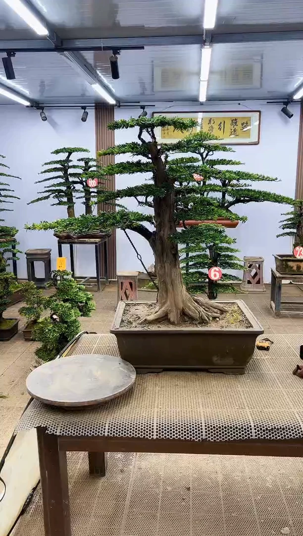 【闪购商品】0000000