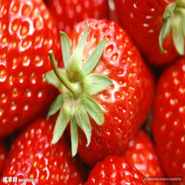 胖丫哈仓发  丹东草莓 汁水丰富 口感香甜 净果2斤99草莓辽宁省
