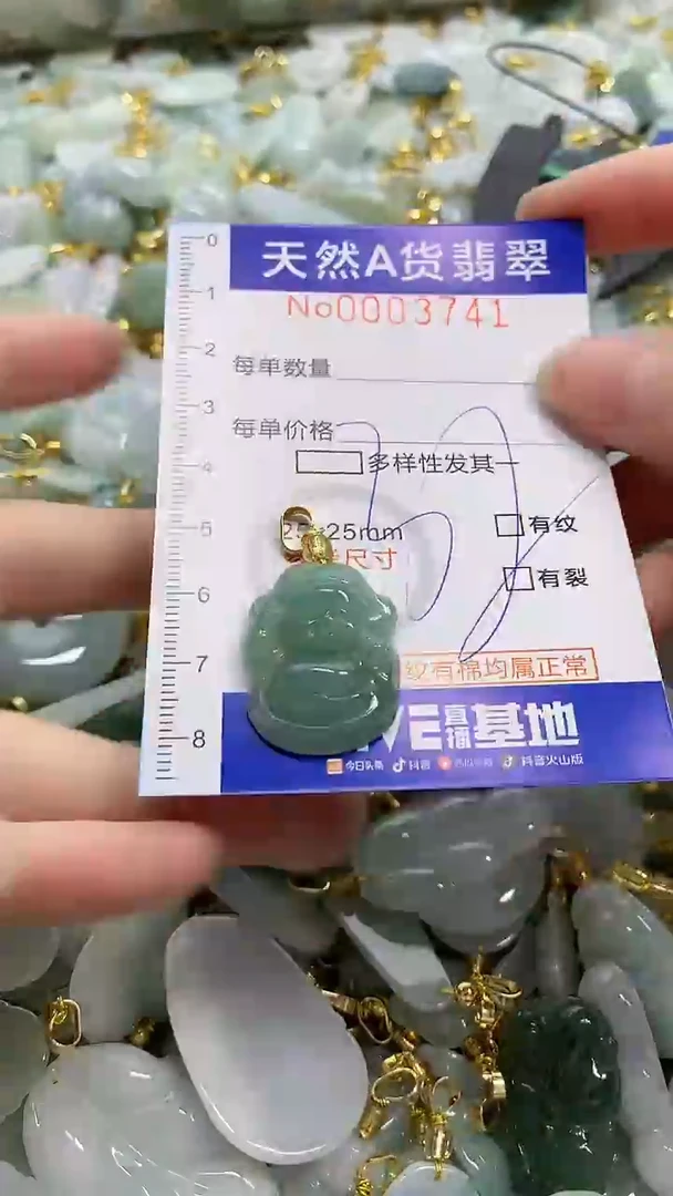 颈饰未镶嵌翡翠天然A货翡翠