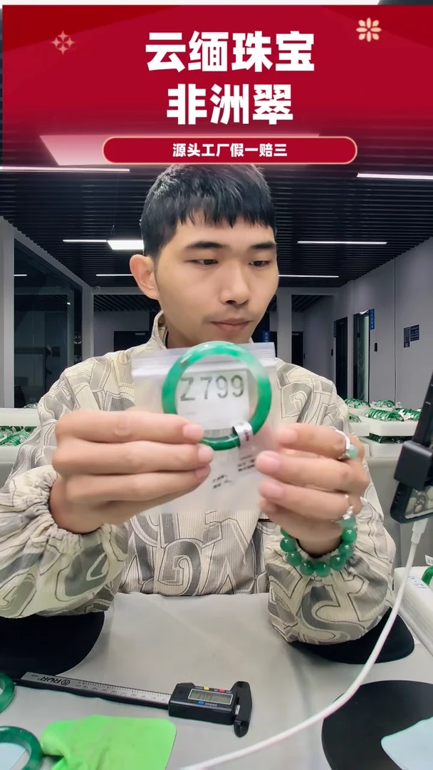 未镶嵌手镯石英质玉（非洲翠）59圈口Z
