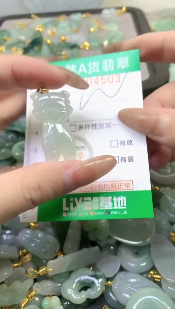 颈饰未镶嵌翡翠纯天然缅甸A货翡翠