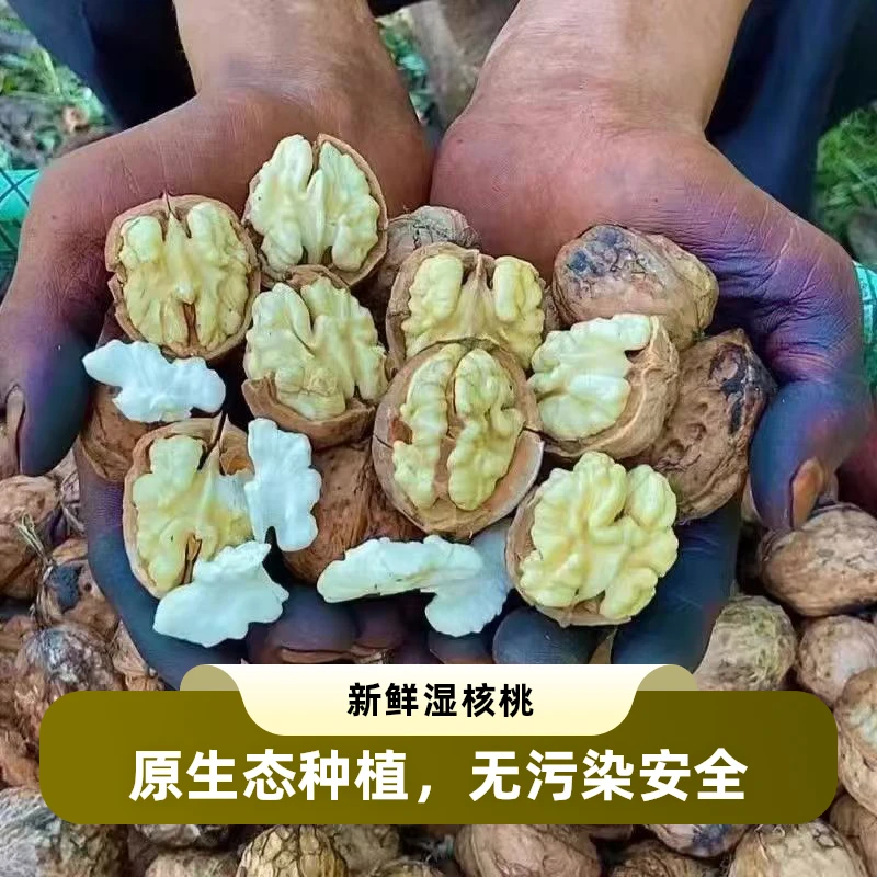 云南老树新鲜去青皮湿核桃薄壳脆嫩多汁孕妇孩童零食