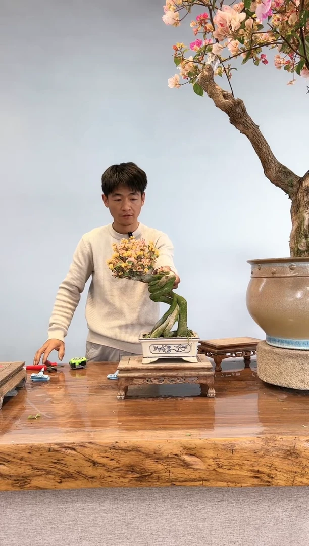 【闪购商品】AA916