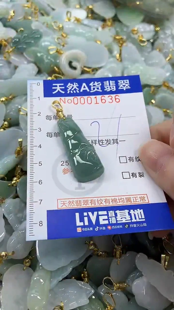 颈饰未镶嵌翡翠纯天然货a翡翠