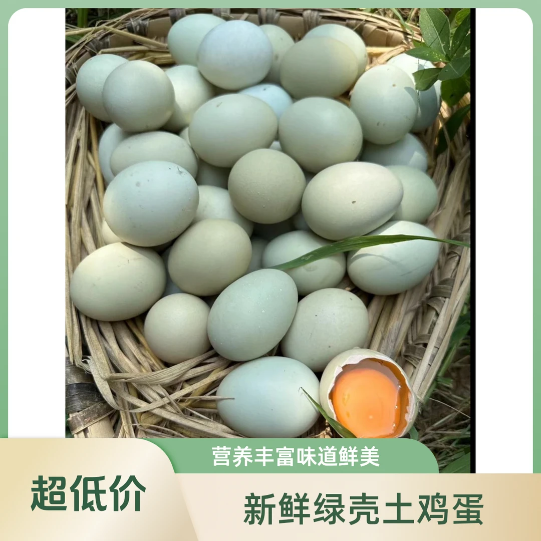 江人才家养美食绿壳土鸡蛋全红婵于北辰