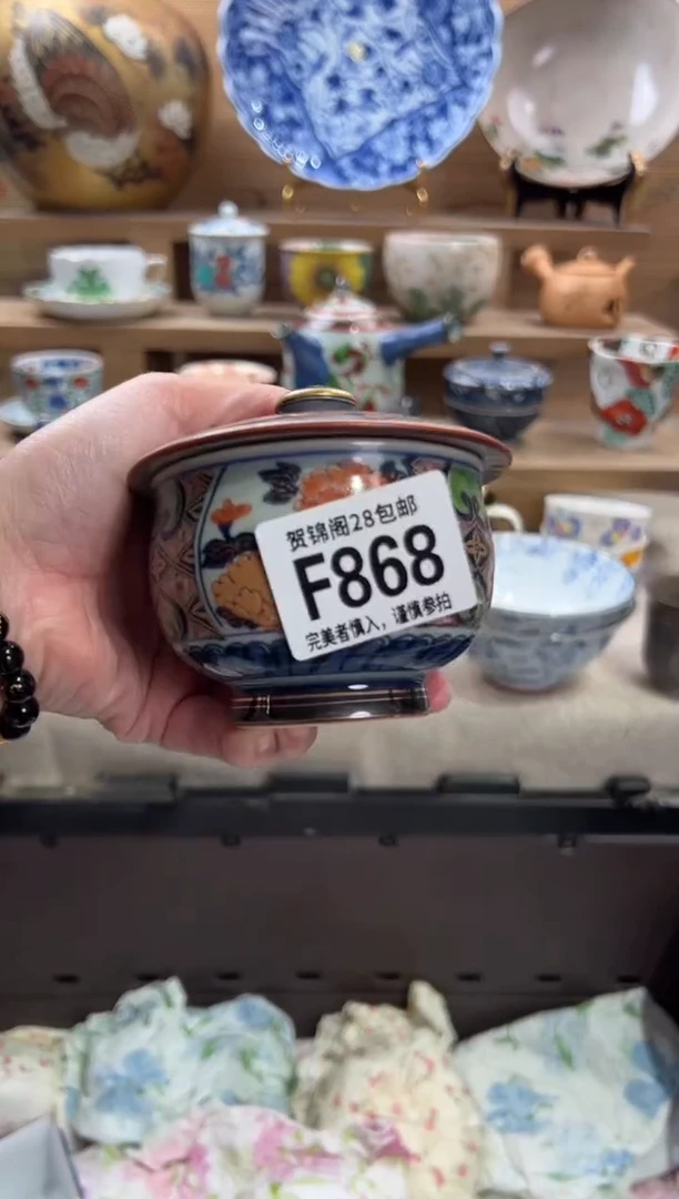 瓷片草*      F868