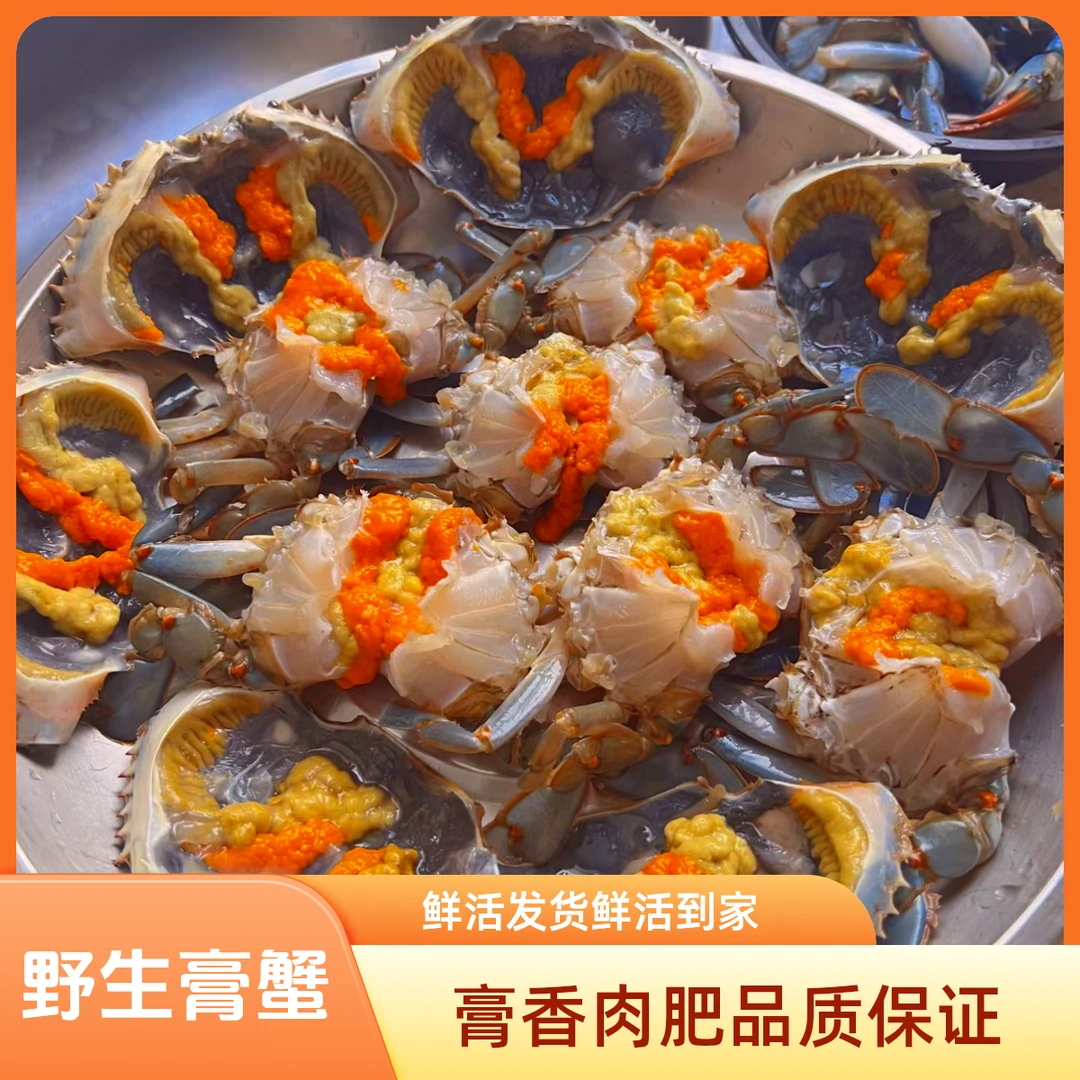 【鲜活】小规格全母青膏蟹海蟹大红膏蟹/杭州发货/次日达/凭开箱视频享受包活售后