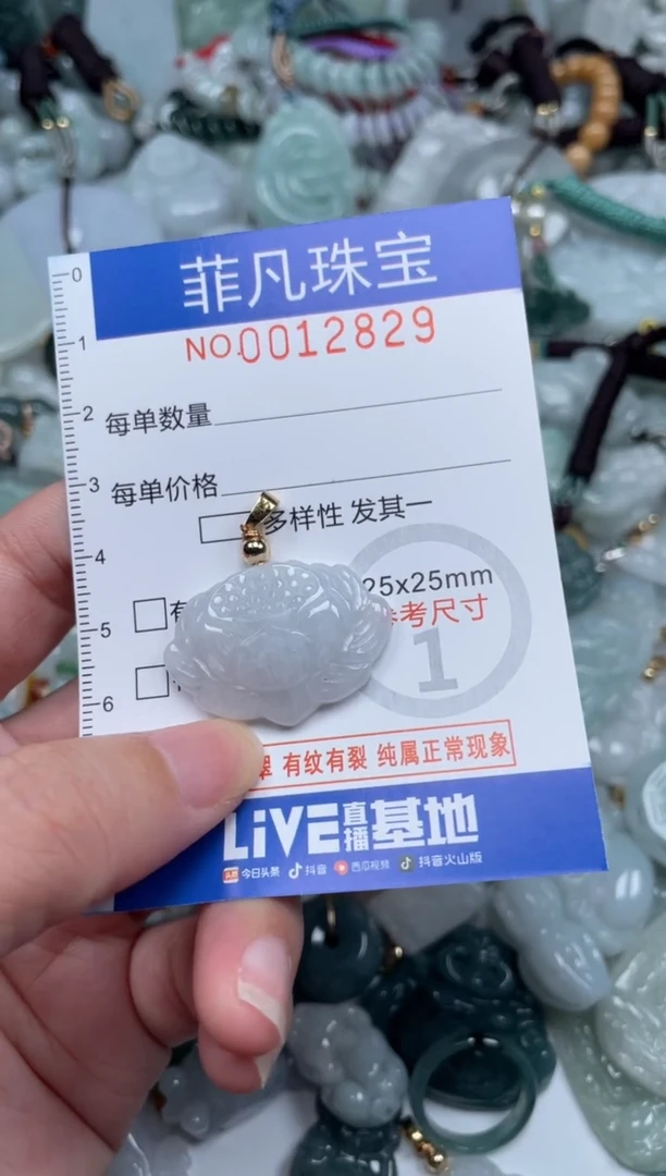 颈饰未镶嵌翡翠12829