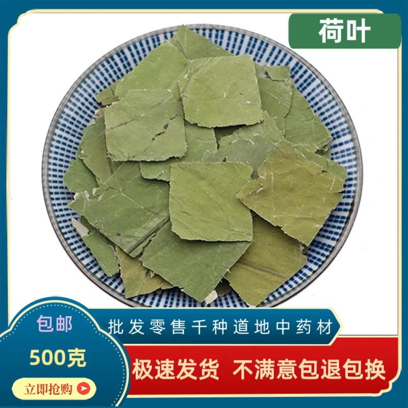 减湿茶 小肚子荷叶完整荷叶高品质完整原料看得见支持定制