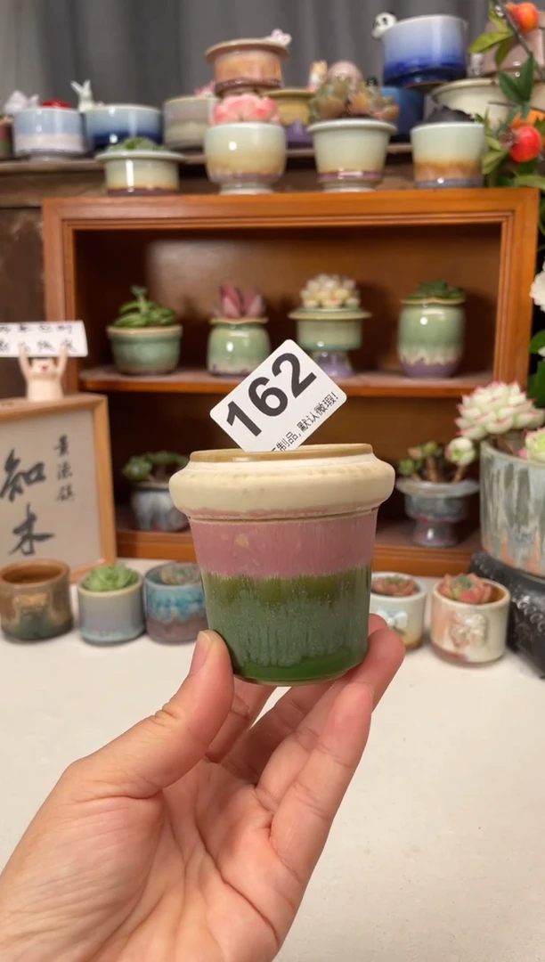 瓷片162知木小芳花盆直播编号