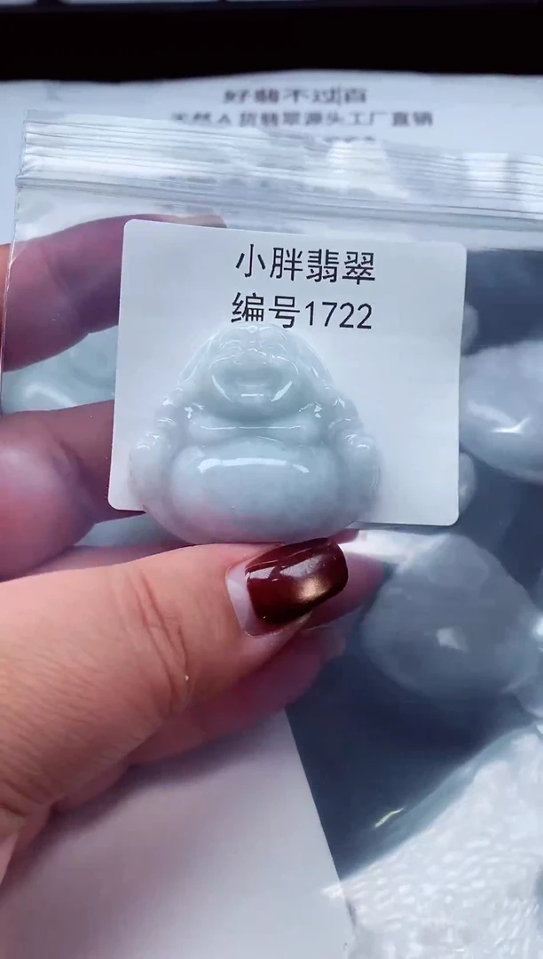 颈饰未镶嵌翡翠缅甸天然A货翡翠1722