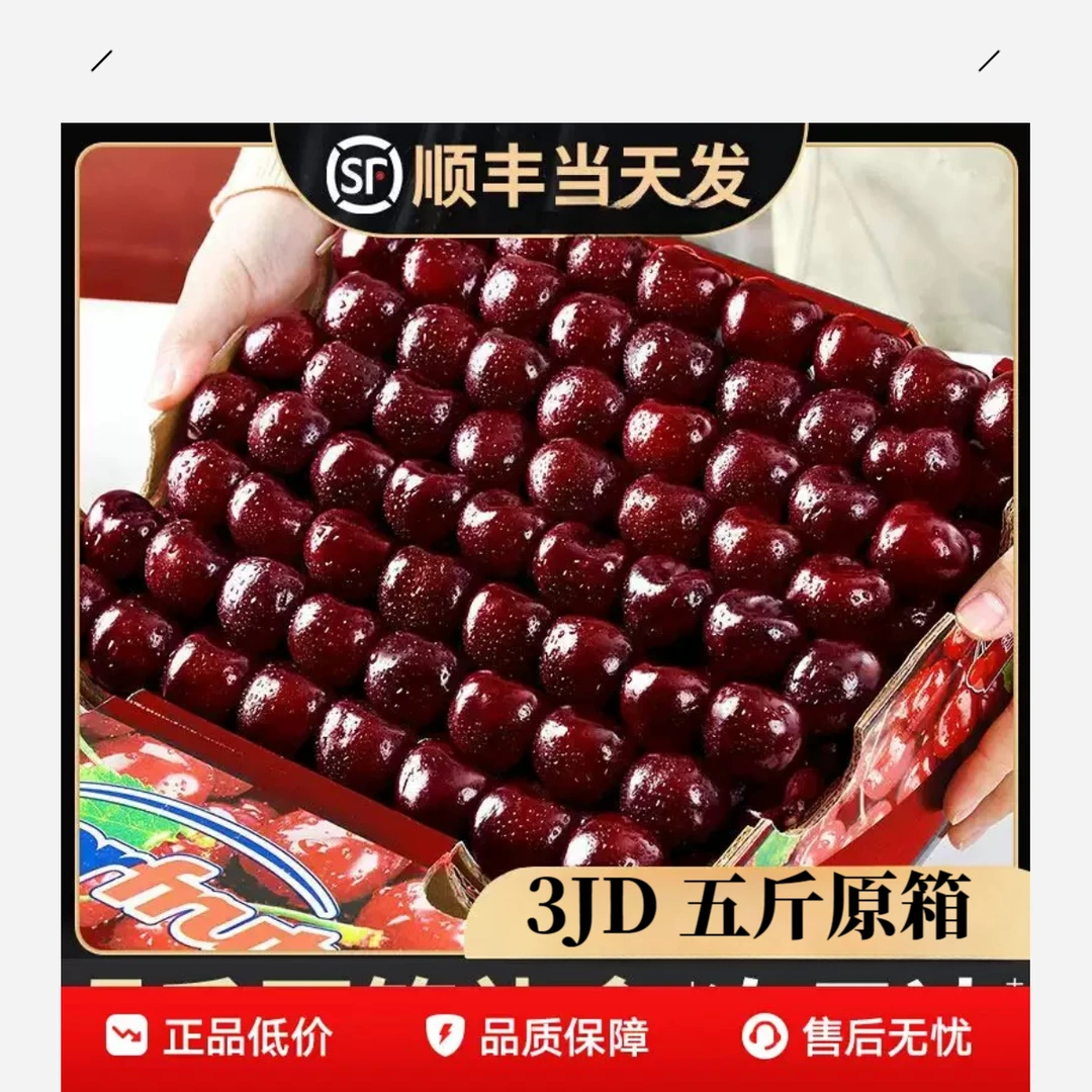 智利车厘子海运桑提娜3JD五斤【今天拍明天到】顺丰包邮新鲜水果宝宝孕妇内附果径卡桑提娜樱桃智利共和国