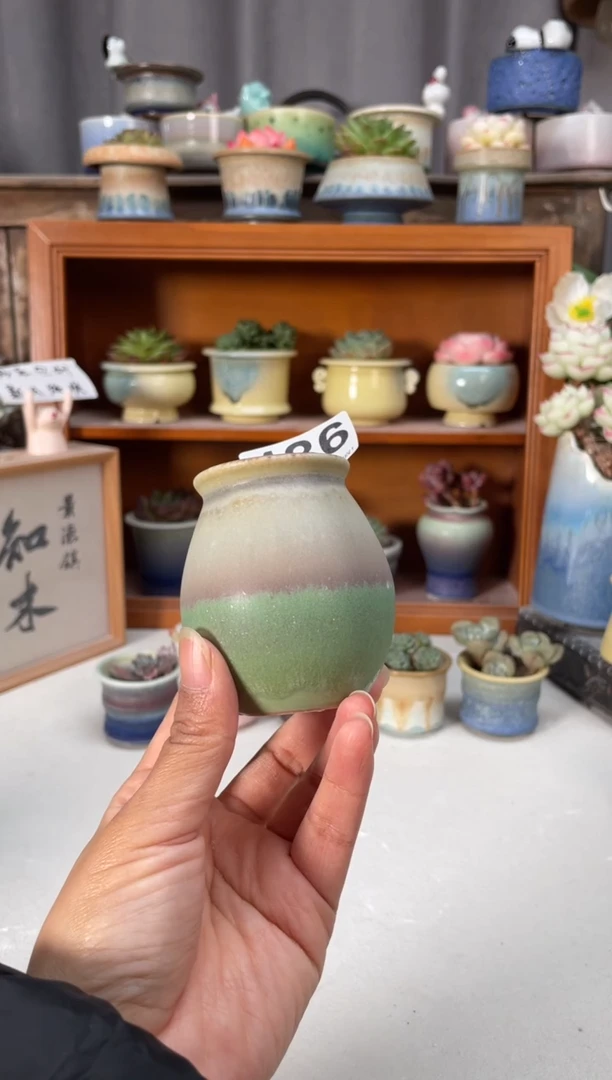 瓷片486小芳直播编号
