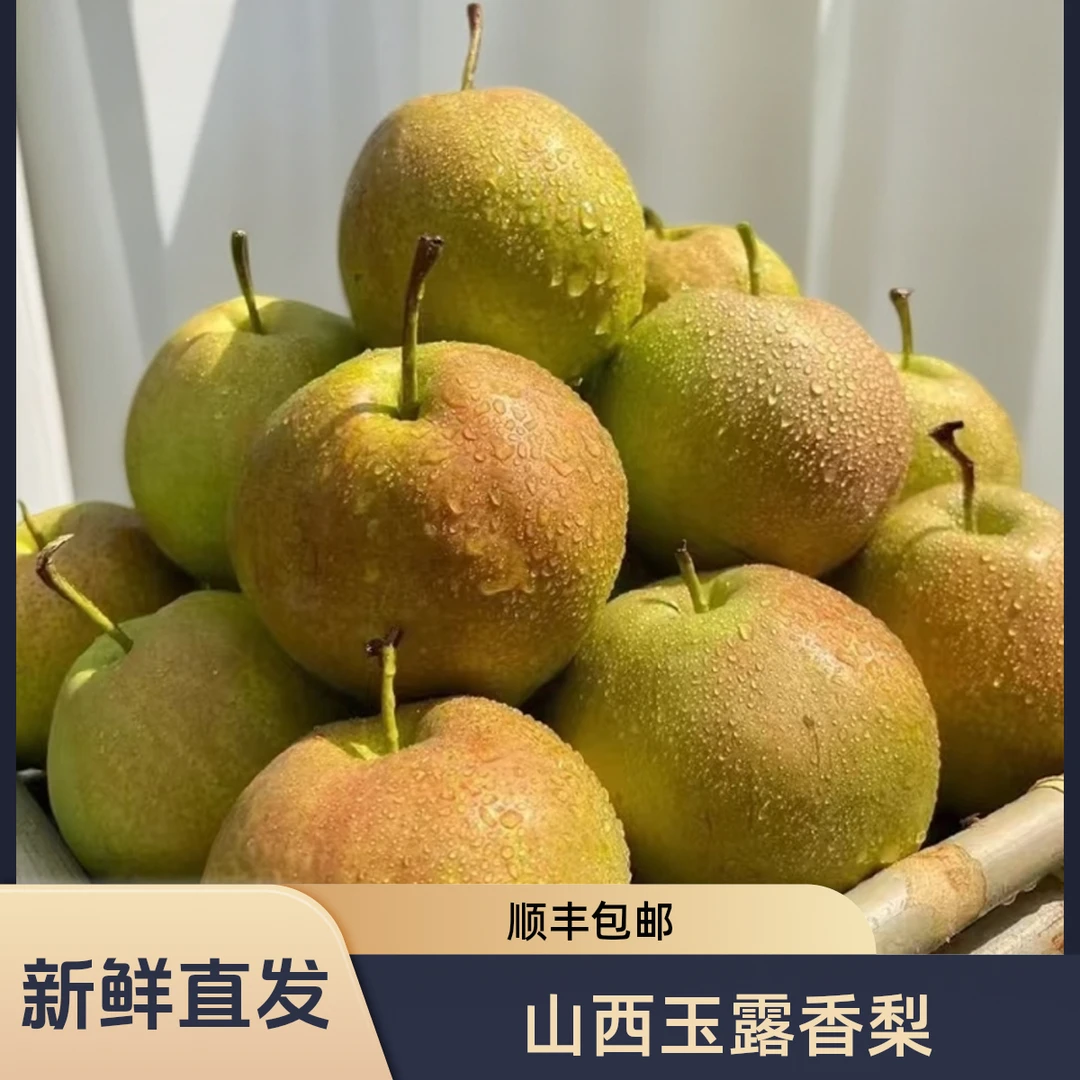 【顺丰山西玉露香梨】脆甜皮薄现摘现发应季水果3斤/4.5斤坏果包赔