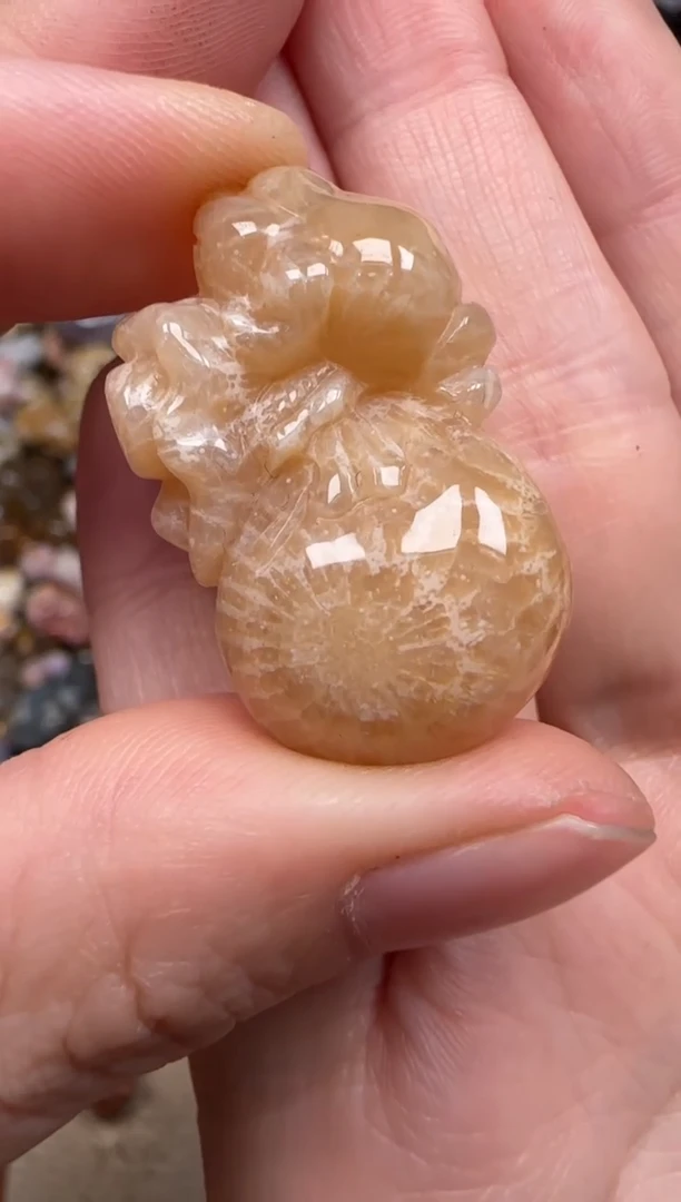 硅化珊瑚（珊瑚玉）未镶嵌颈饰377
