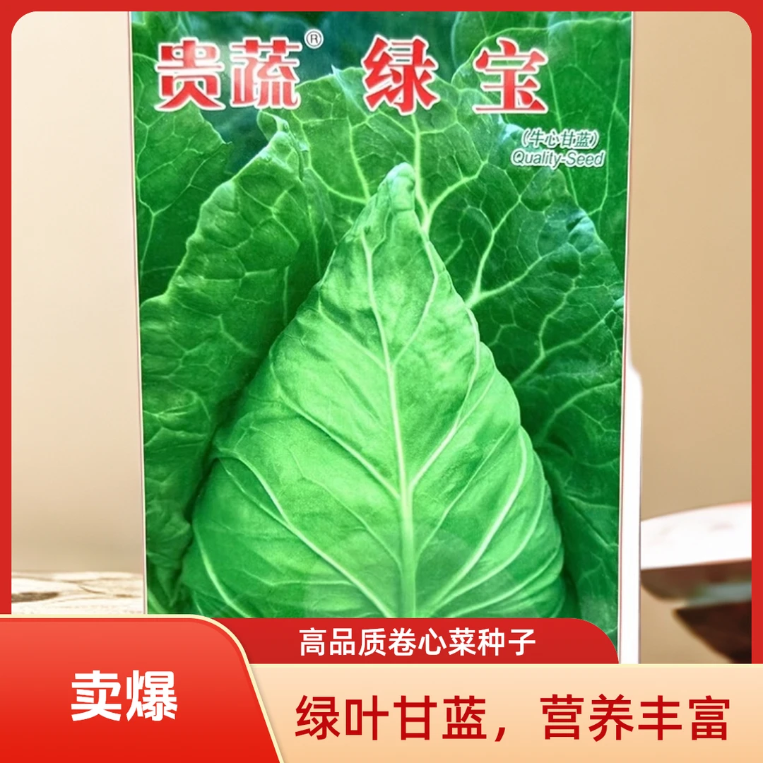 杂交牛心甘蓝种子牛心包甘蓝种籽耐寒耐热春秋冬季蔬菜种子孓