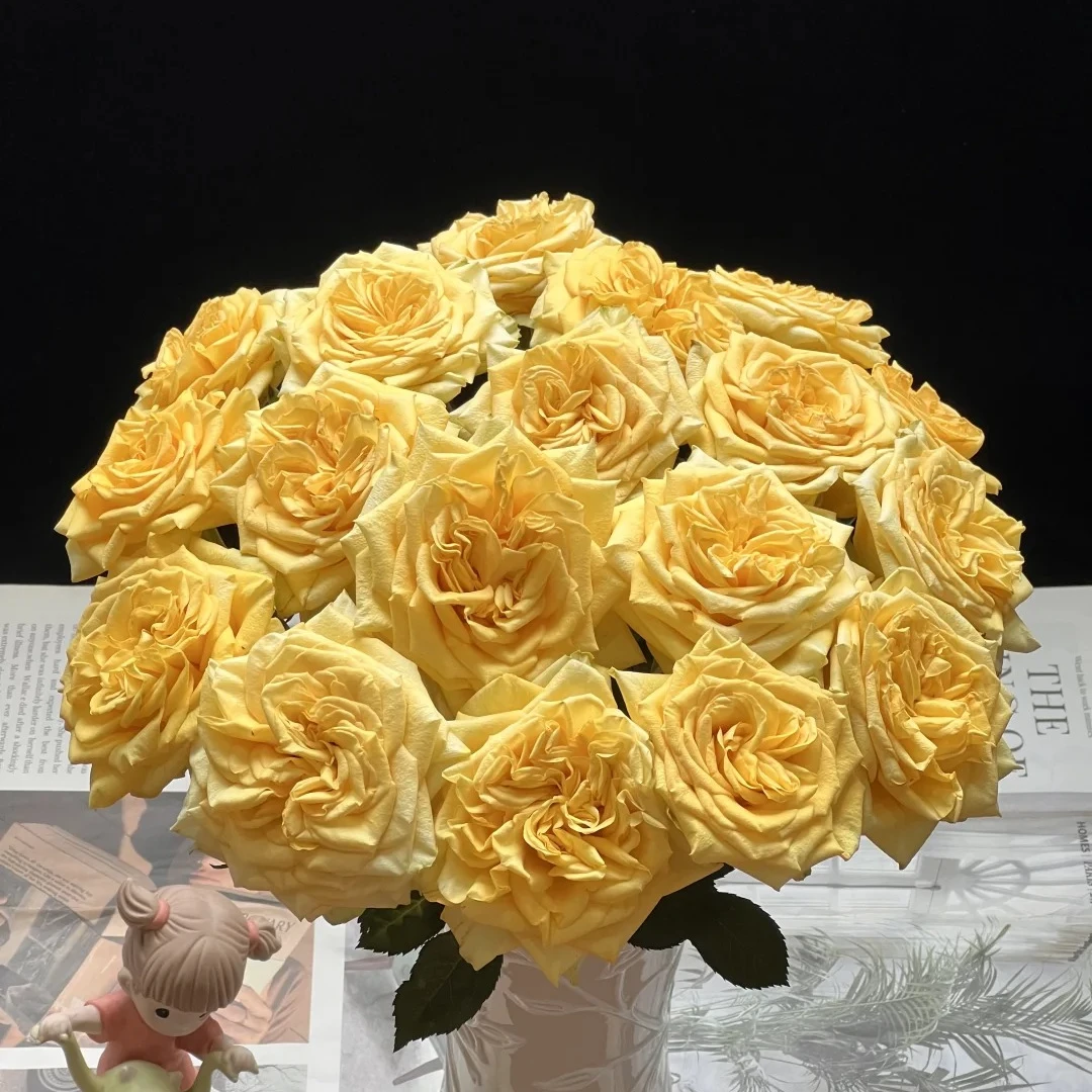 月光女神，单头玫瑰，1单包邮，2单升级顺丰冷链，距离远的发德邦