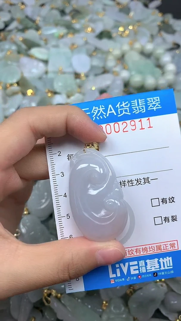 颈饰未镶嵌翡翠净货挂件-2911