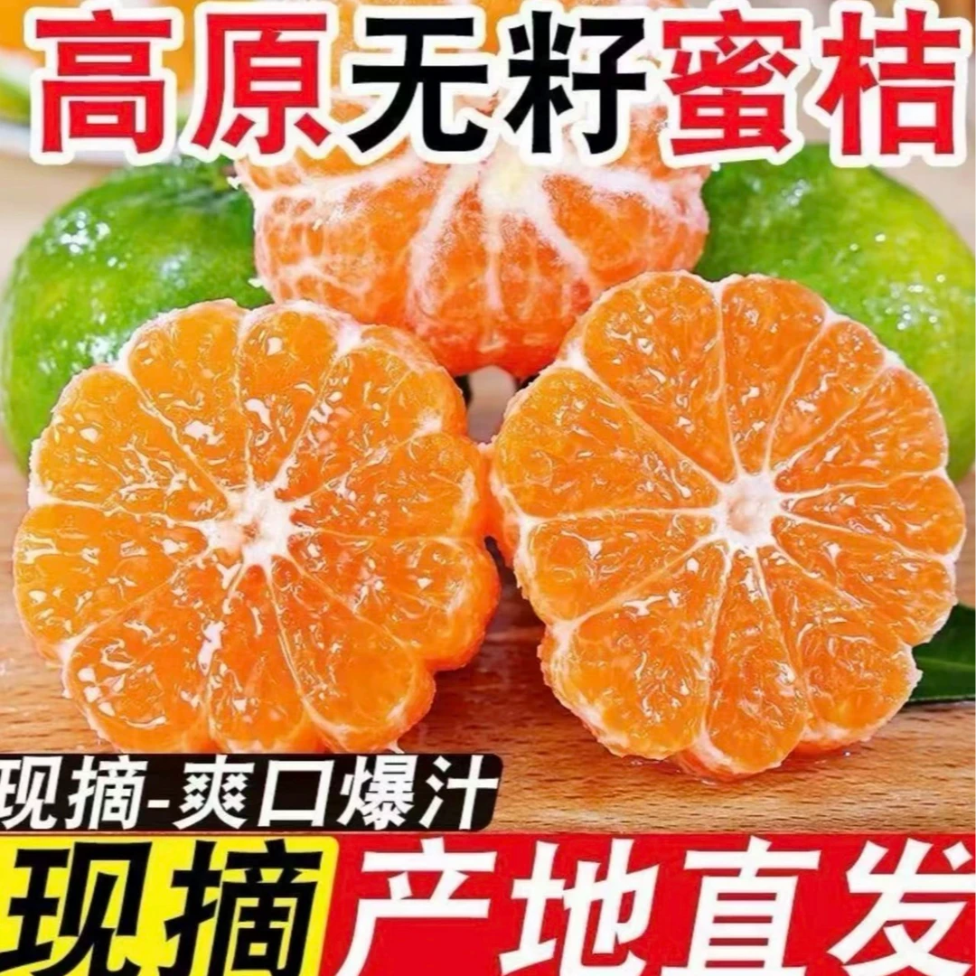 【产地直发】新鲜青皮蜜橘薄皮多汁酸甜爽口应季水果早熟桔子新鲜