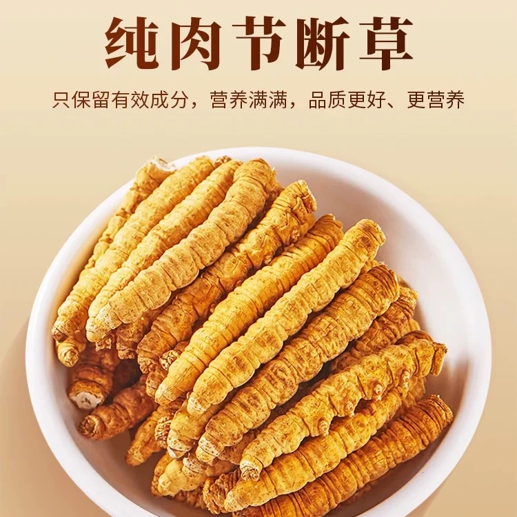 2025年头茬 超大肉节 冬虫夏草 干断草 新干草