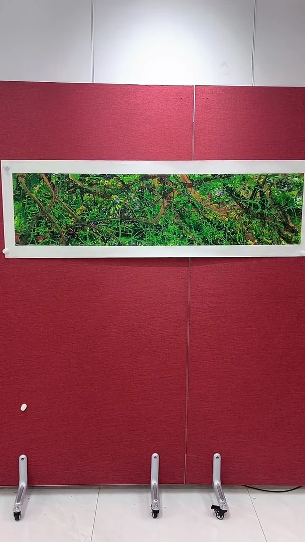 国画Y****g赵燮绘画4平尺藤萝金P