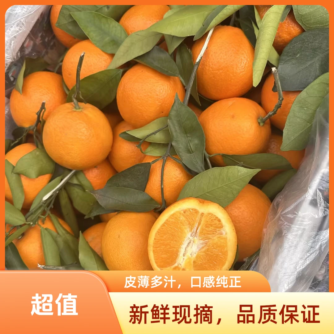 【京津冀次日达】伦晚脐橙 带叶果径70-75mm 3斤起拍 7分甜三份酸 重庆奉节 柑橘桔 专属于春天的一款橙子沃柑
