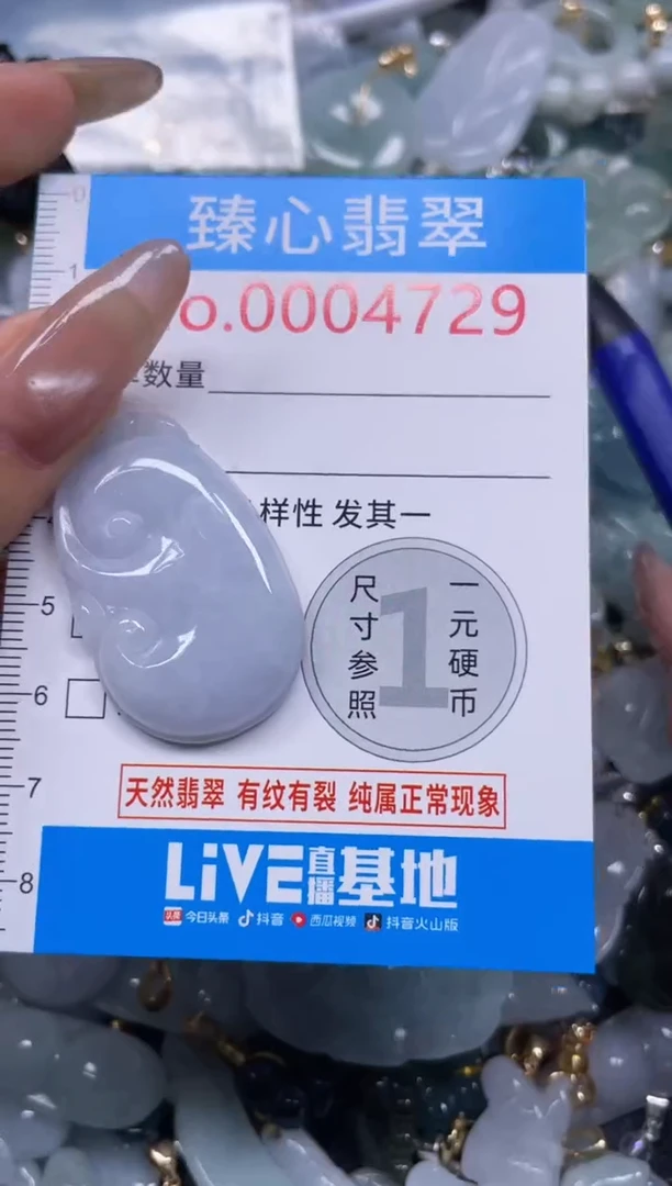 颈饰未镶嵌翡翠4729