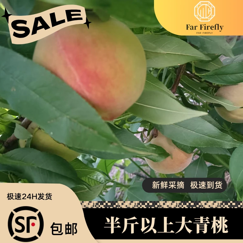 【顺丰极速24小时】单个半斤，一斤青脆果王，现摘现发孕妇果新鲜脆桃