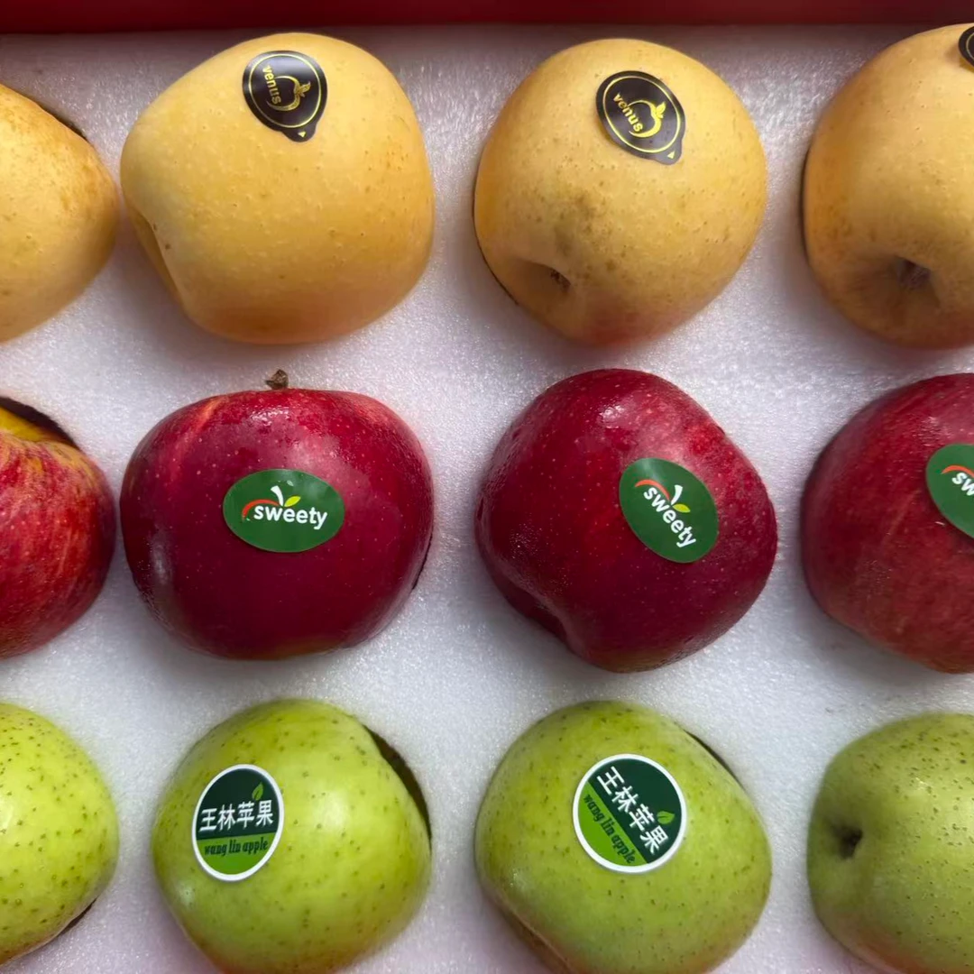 云南高端三色（维纳斯大卫王林）苹果礼盒装当季新鲜水果顺丰包邮