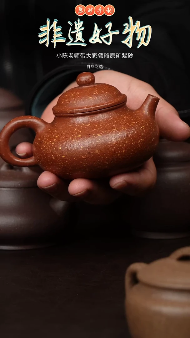 茶壶紫砂8目容天壶