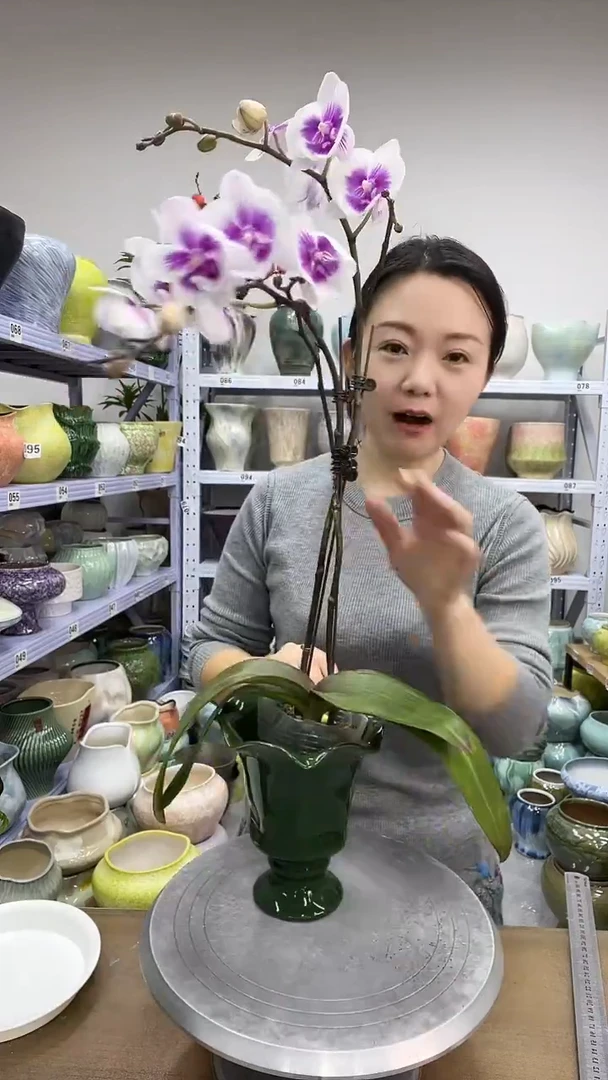 【12.7号】花盆  高：17  口：12