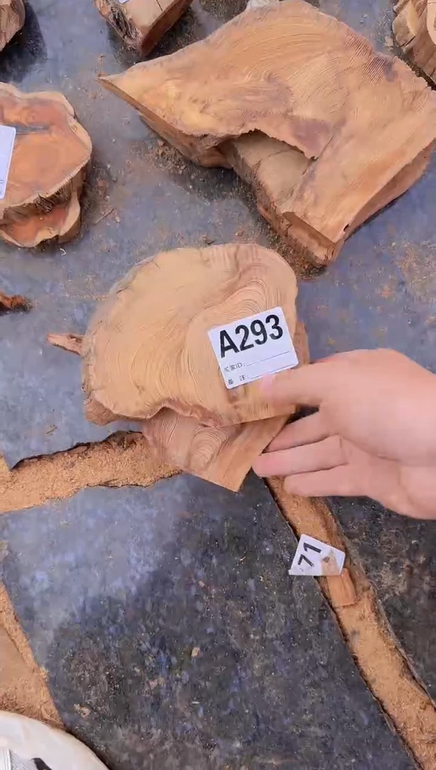 【闪购商品】柏木（崖柏）太行崖柏切片一片