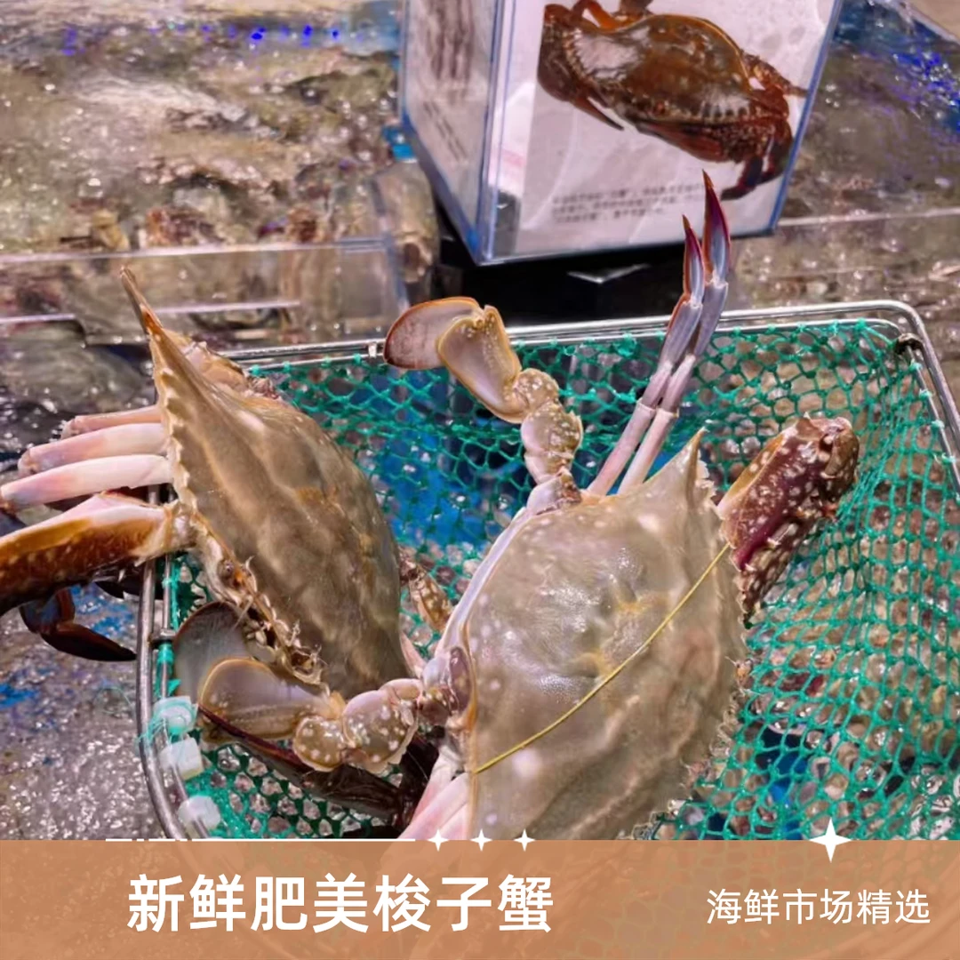 （鲜活发货/不保活）/舟山/中国/国产/海蟹/（梭子蟹）2斤/5只/单只3两—半斤/一小时到家