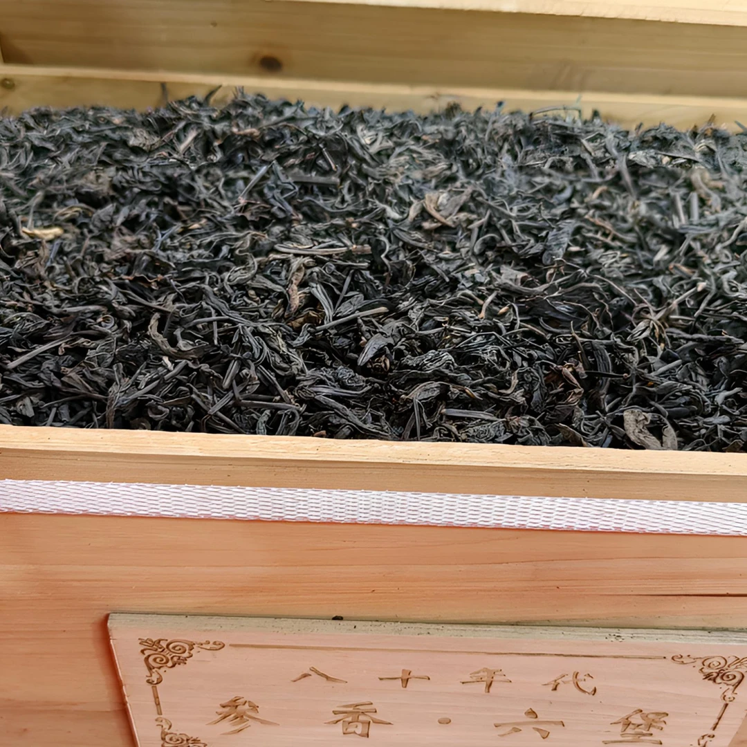 【老板娘私藏高货】满小茉 1980樟香六堡茶100克 非遗传承梧州六堡