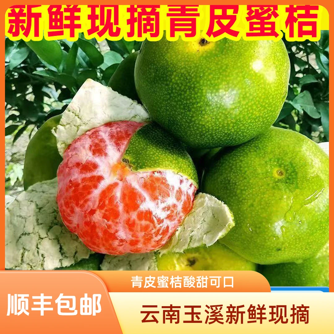 云南青皮蜜桔现摘早熟桔子酸甜薄皮蜜橘新鲜孕妇水果包邮果园直发