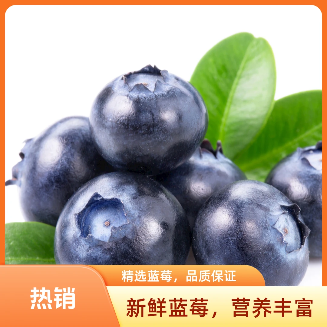 【小时达送到家】精品蓝莓125克