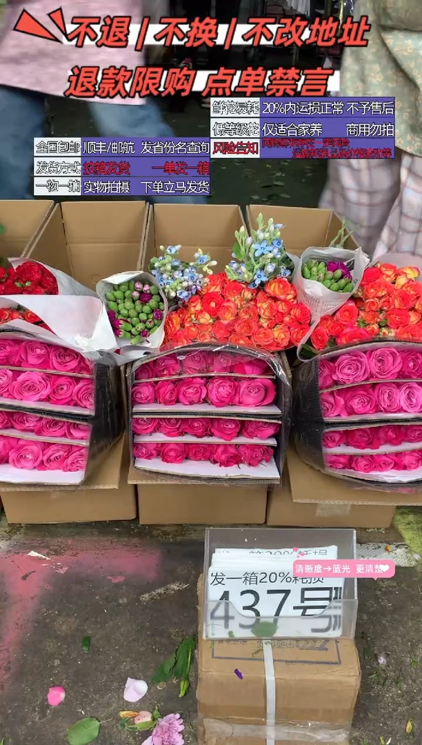 437号♥含20%耗损发一箱