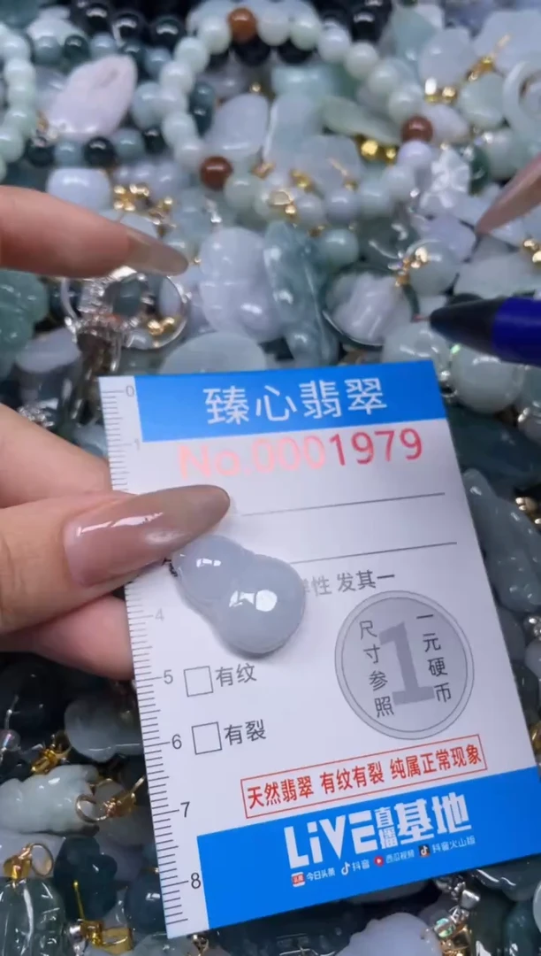 颈饰未镶嵌翡翠1979