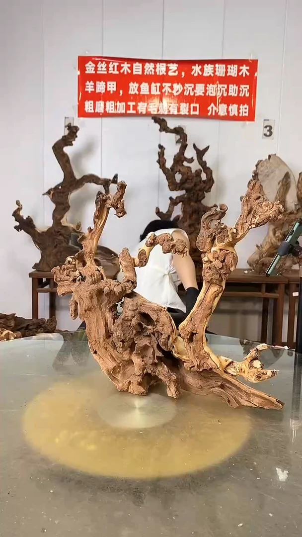 香榧木用****6金丝红木 羊蹄甲