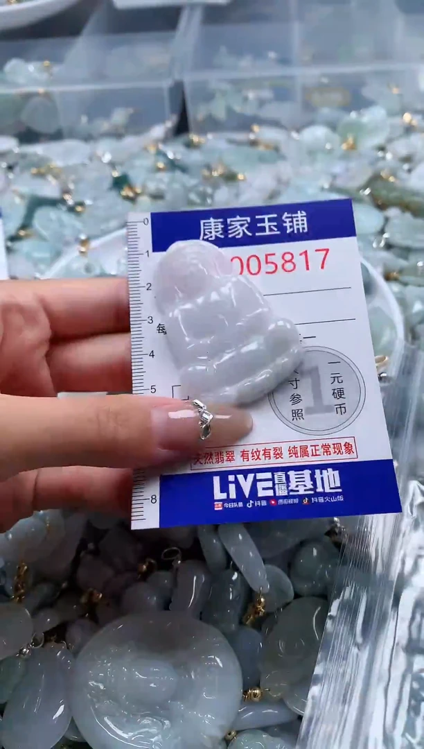 翡翠未镶嵌吊坠(不含链)5817