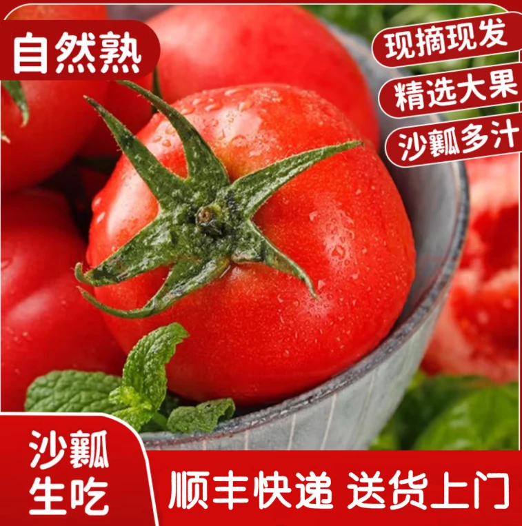 【顺丰快递】 【水果沙瓤西红柿】自然成熟西红柿【儿时回忆】