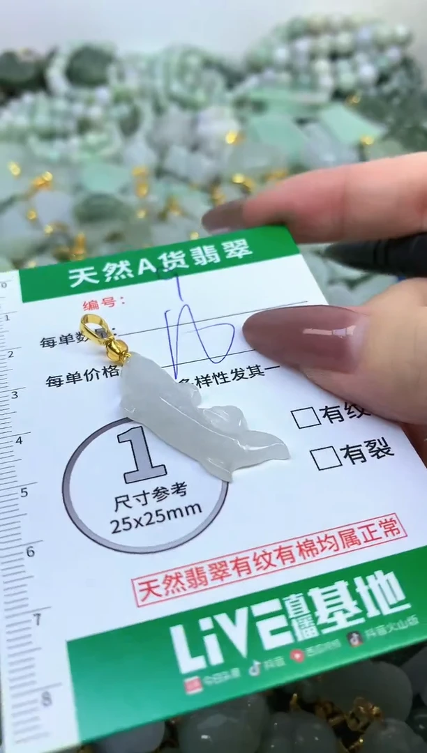 颈饰未镶嵌翡翠纯天然缅甸A货翡翠