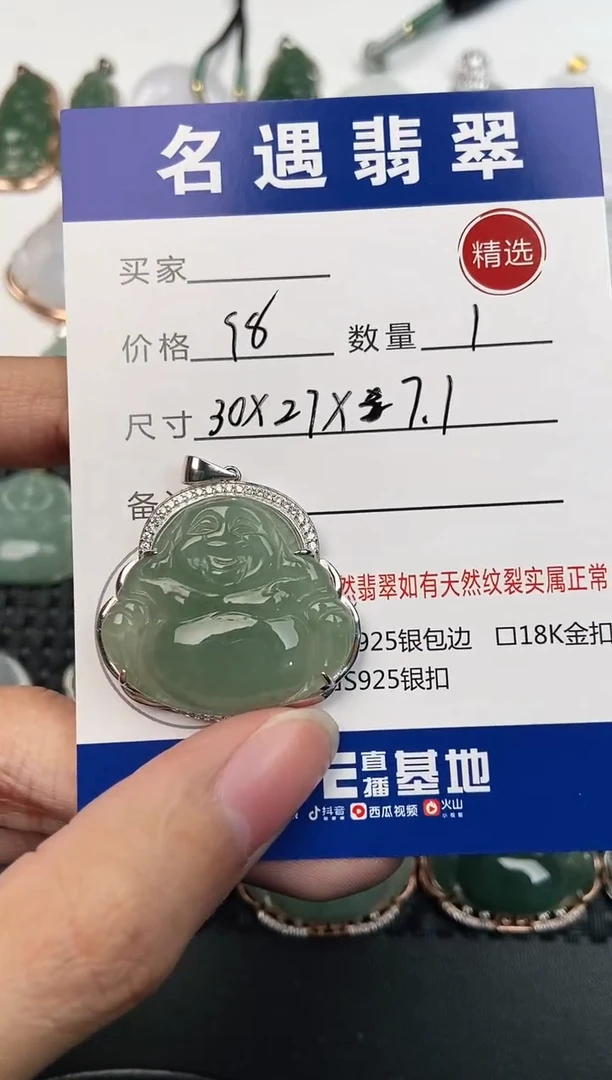 颈饰银S925镶嵌翡翠挂件