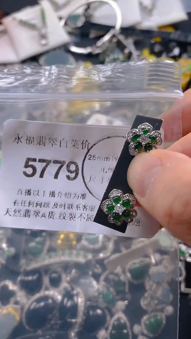 翡翠未镶嵌吊坠(不含链)5779