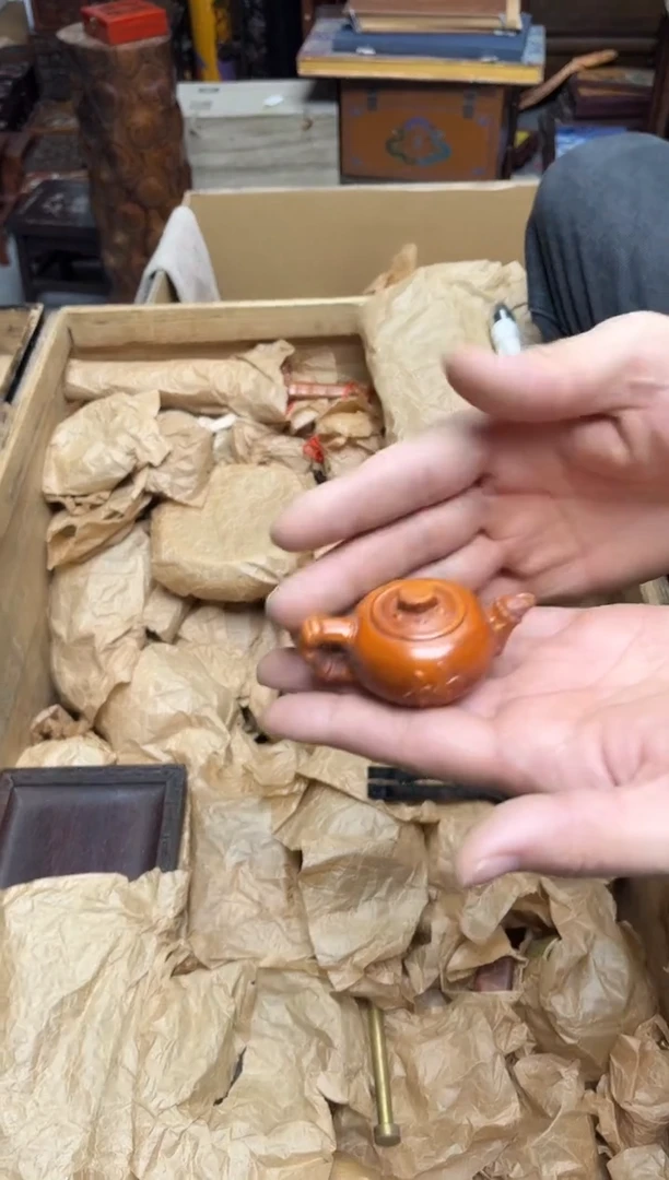 黄杨木八号甄选八号甄选