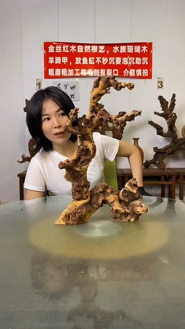 香榧木保****司金丝红木   羊蹄甲