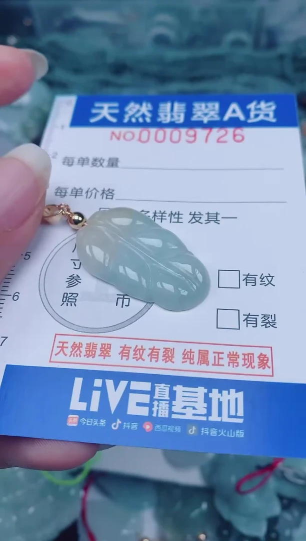 颈饰未镶嵌翡翠00009726