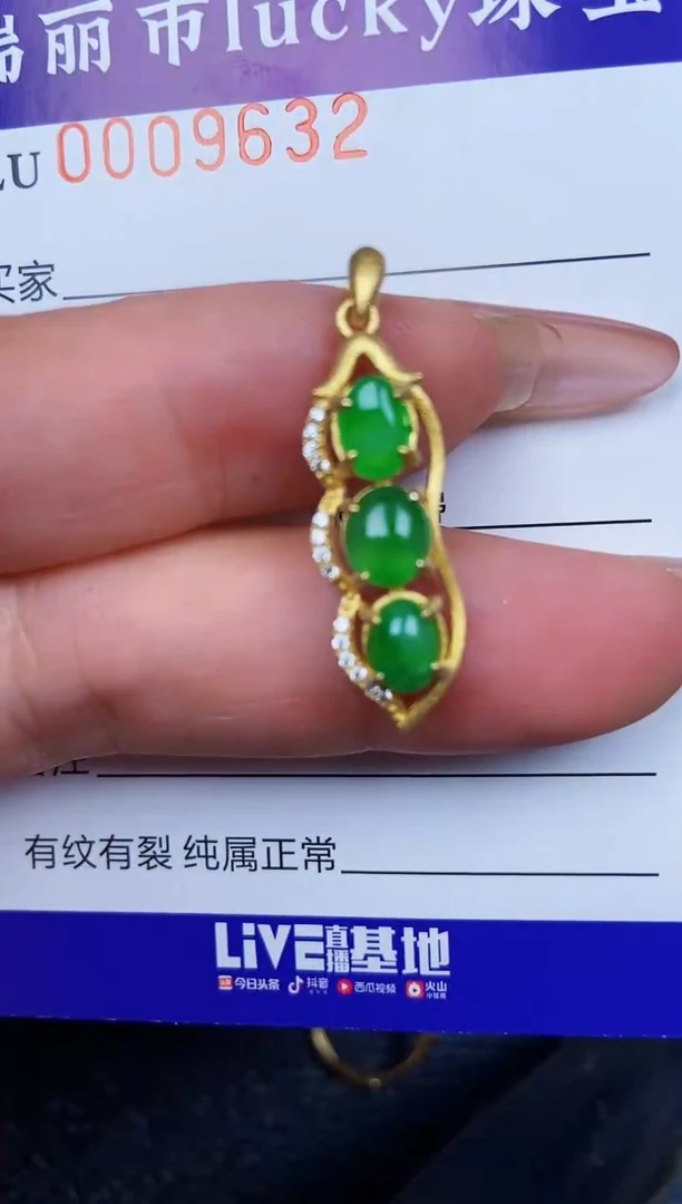 翡翠银S925镶嵌颈饰9632