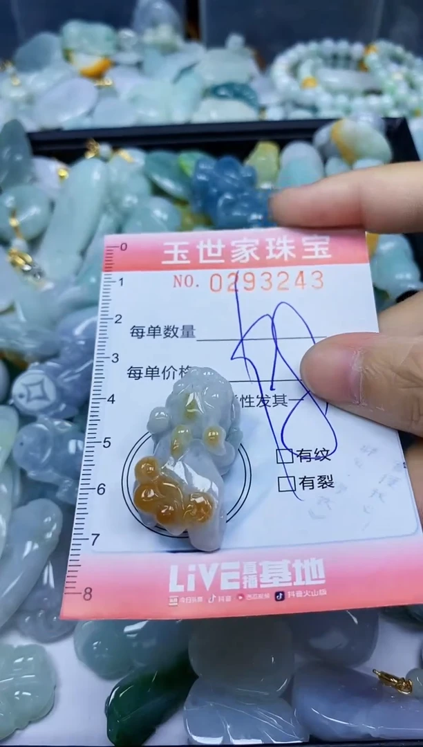 翡翠未镶嵌颈饰闪购0293243